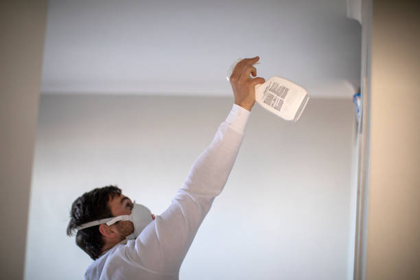 Best Fast Mold Removal  in Mill Plain, CT