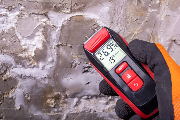 Certified Mold Removal in Mill Plain, CT