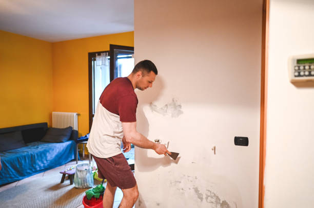 Best Mold Testing  in Mill Plain, CT